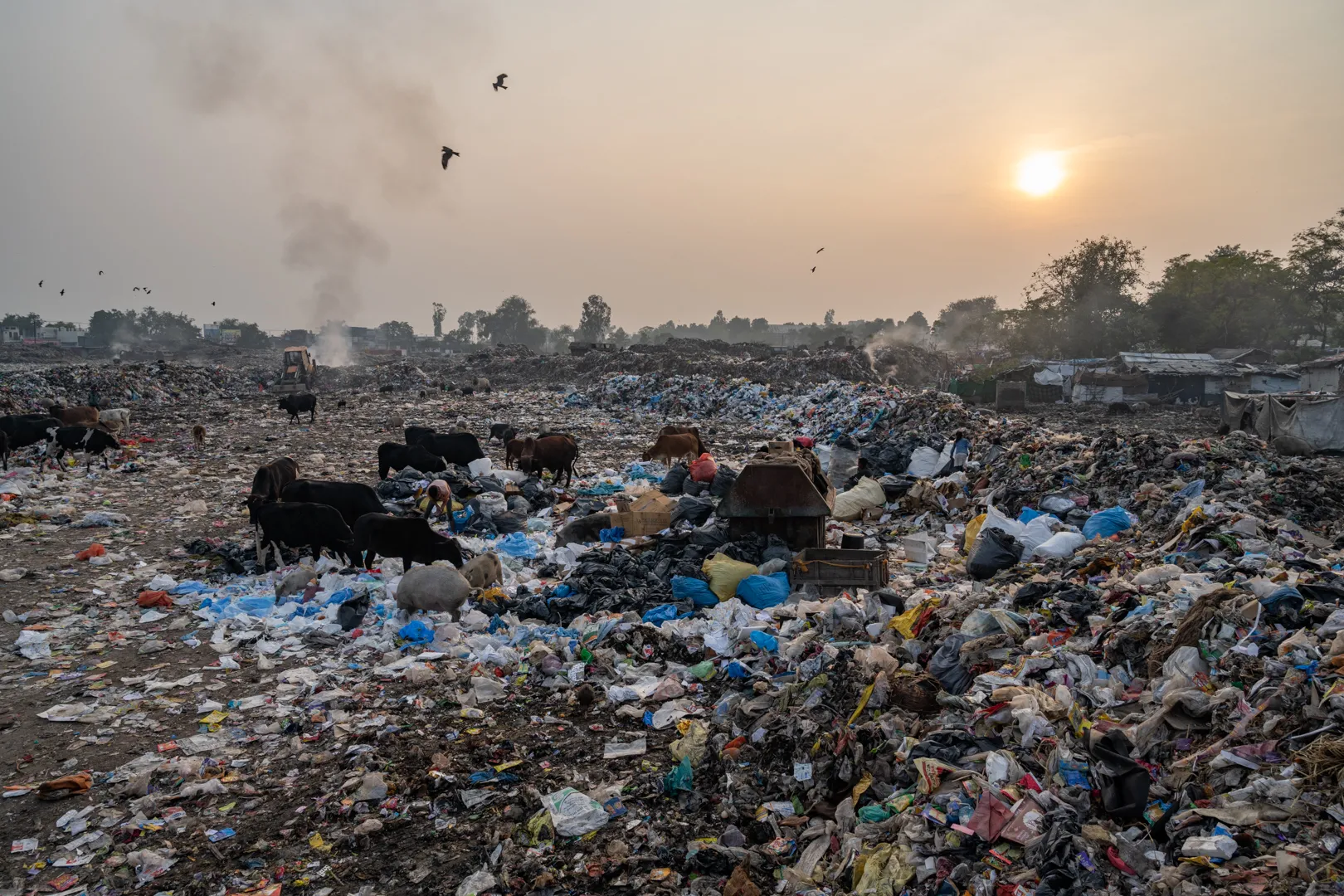 Plastic on the Ganges highlight