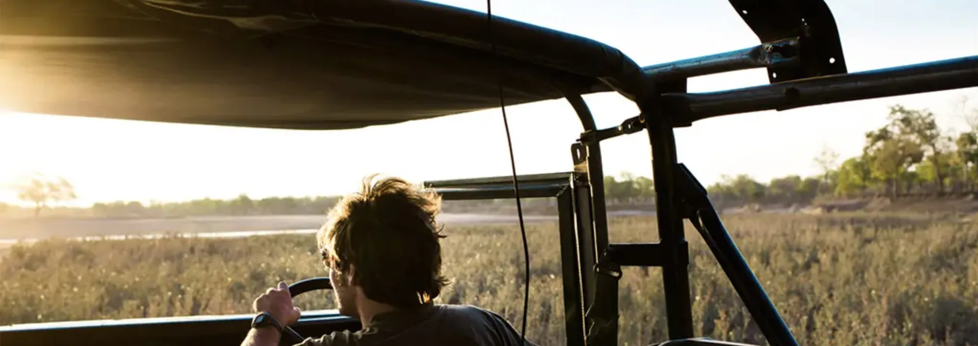 Gibson the Lion highlight