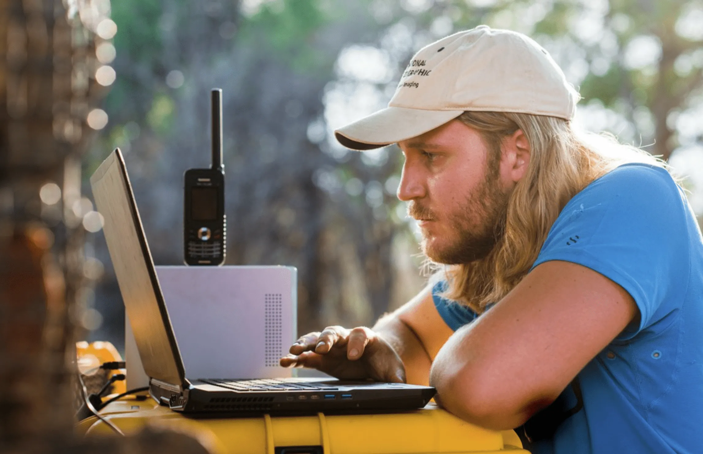 360 camera view from inside the lion pride