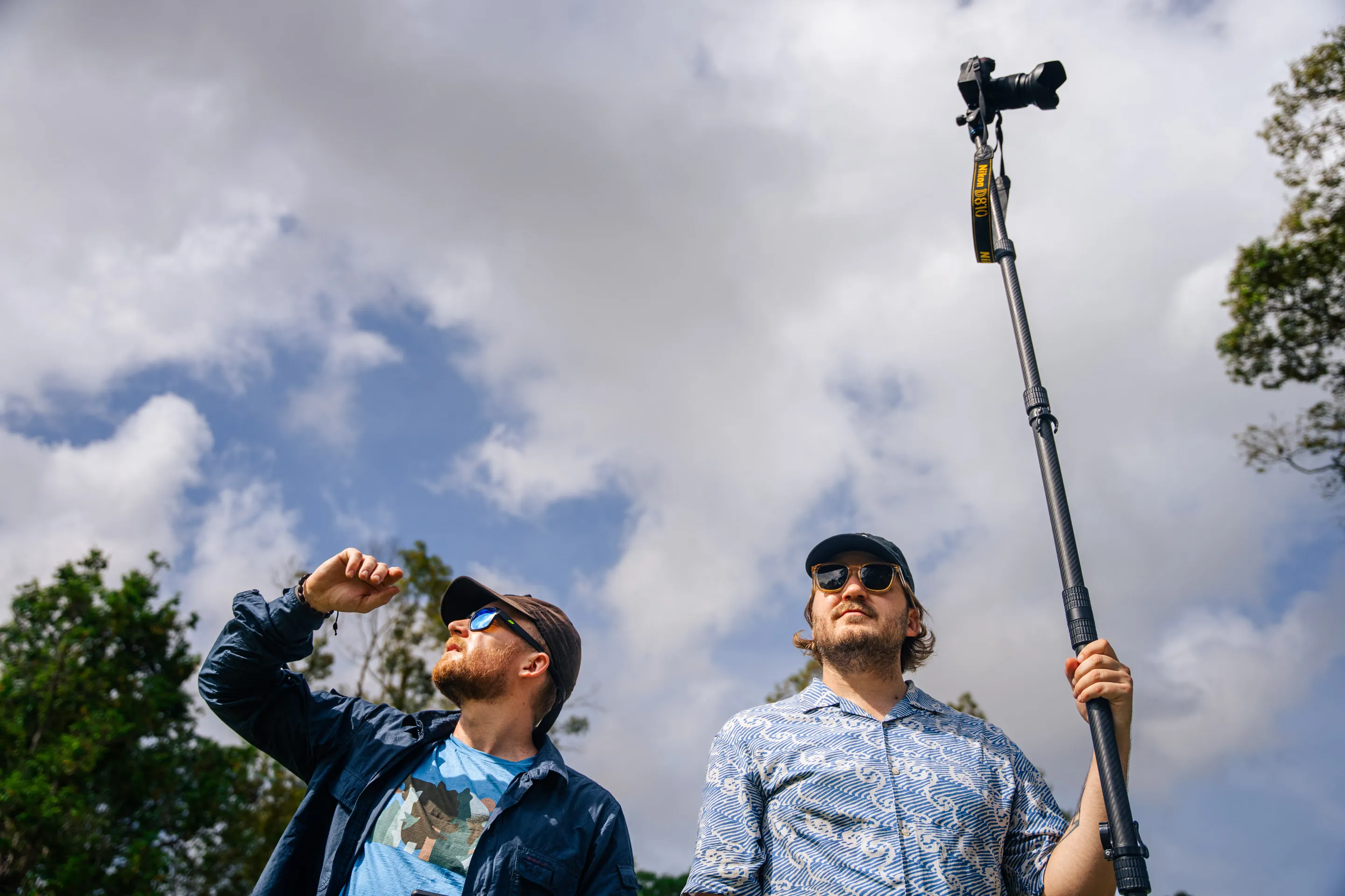 Dense jungle surrounding the ancient Buddhist temple complex